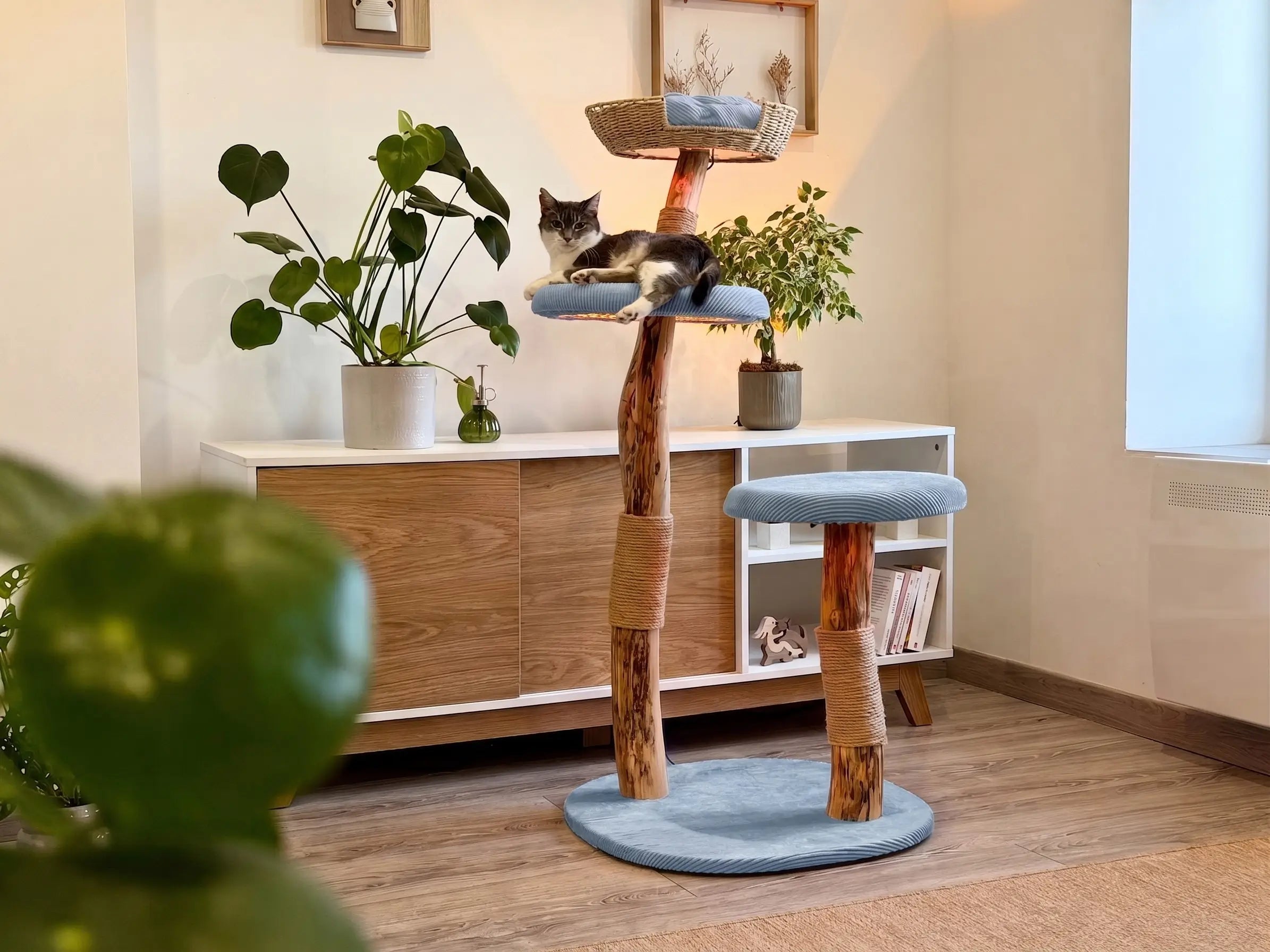 Arbre à chat Maison Arborescence habillé de housses bleu dans un salon