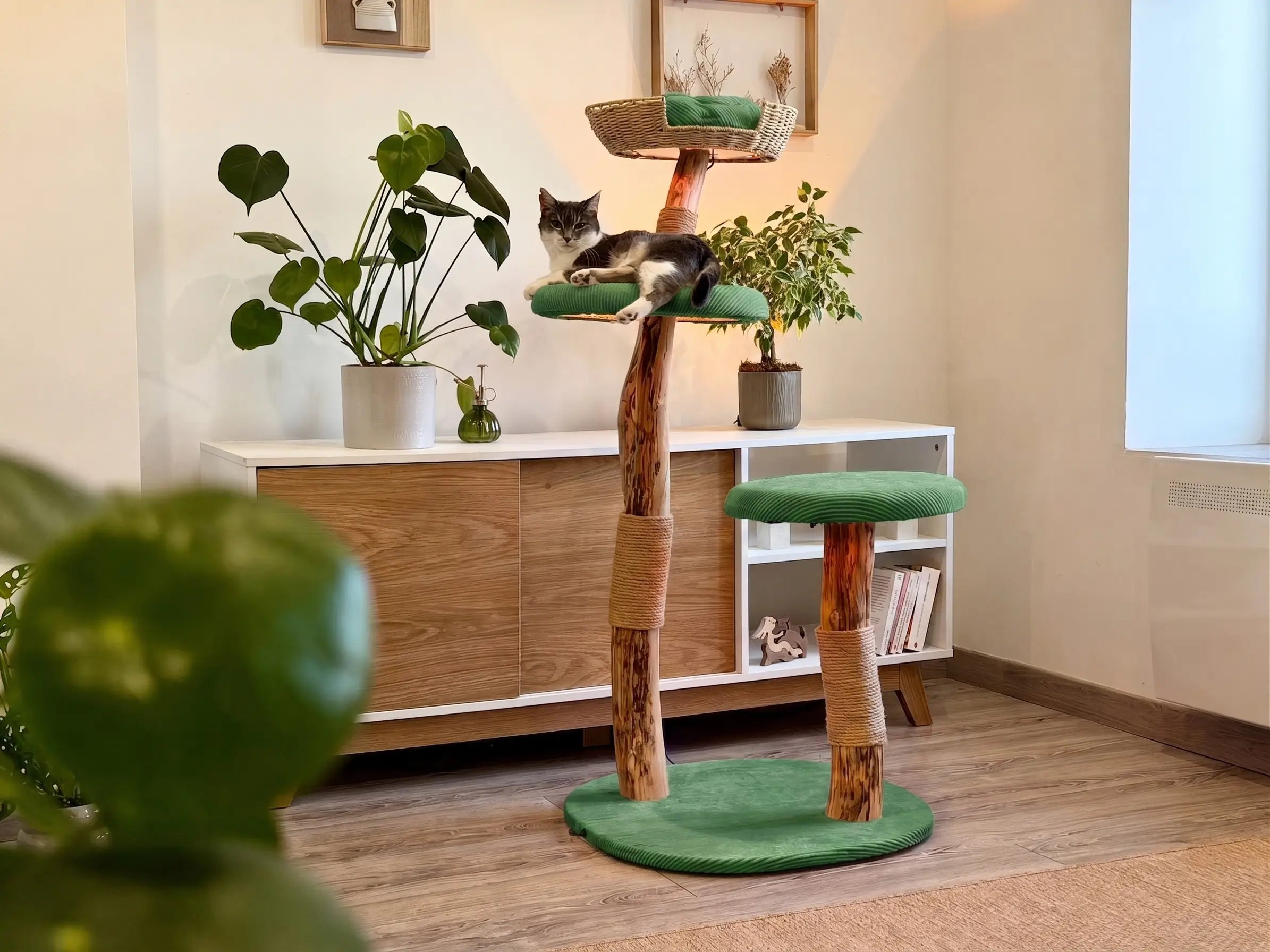 Arbre à chat Maison Arborescence habillé de housses vert dans un salon